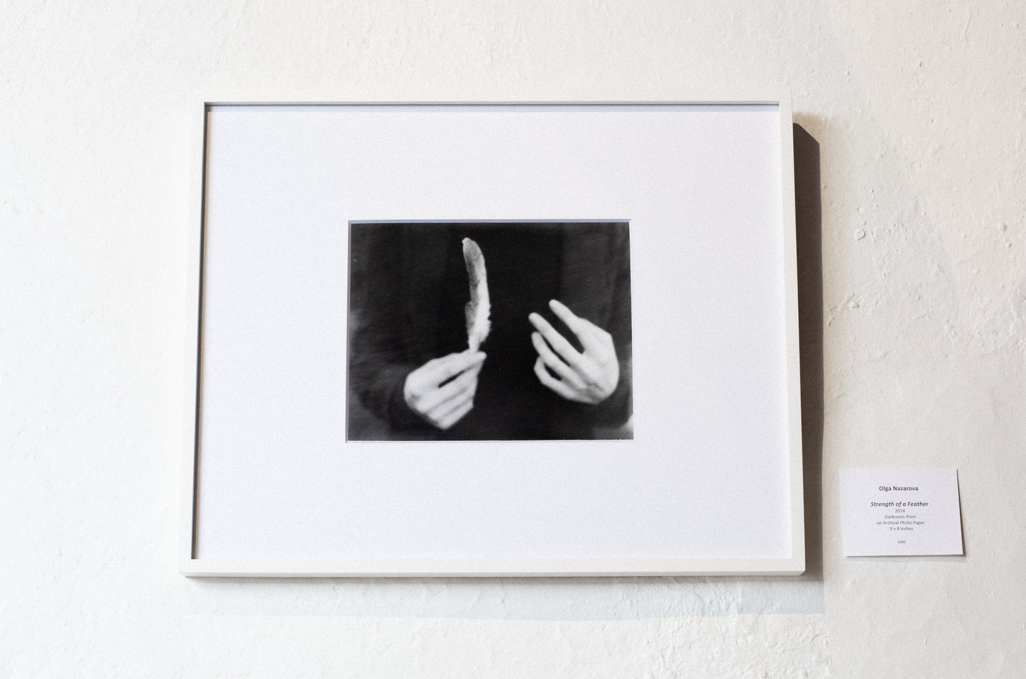 Olga Nazarova - Strength of a Feather