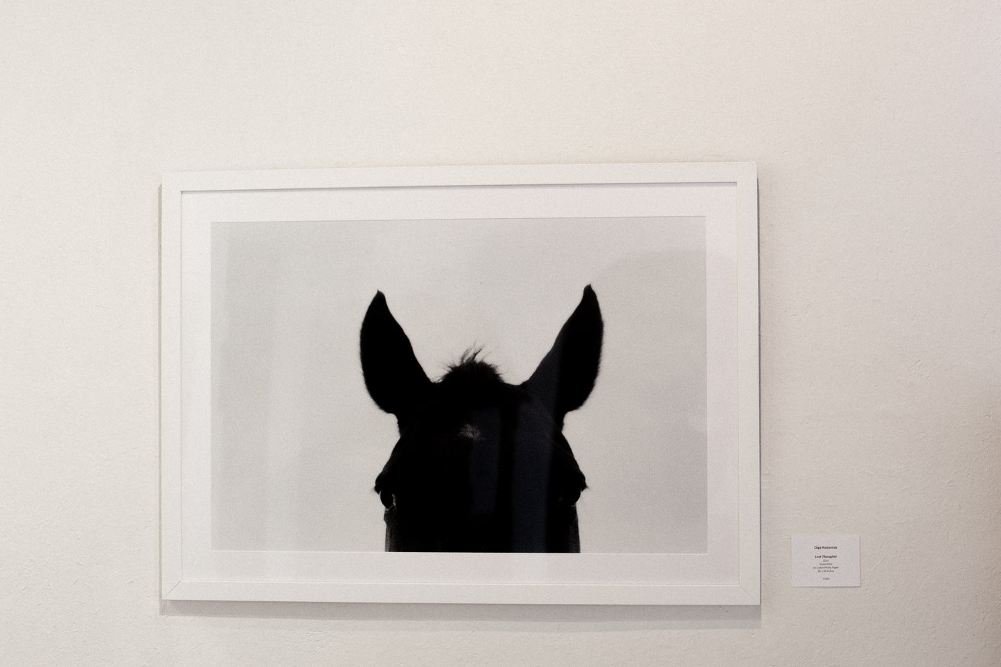 Olga Nazarova - Lost Thoughts