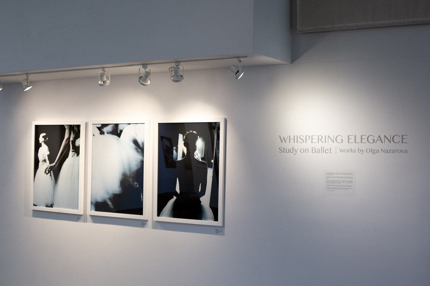 Olga Nazarova - WHISPERING ELEGANCE3