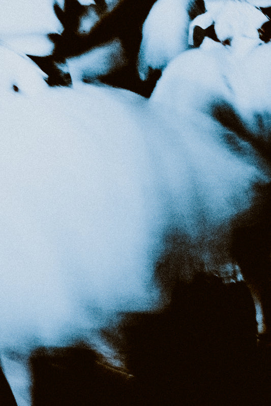 Olga Nazarova - WHISPERING ELEGANCE